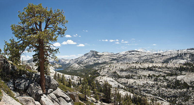 Tenaya Peak和Yosemite High Country
